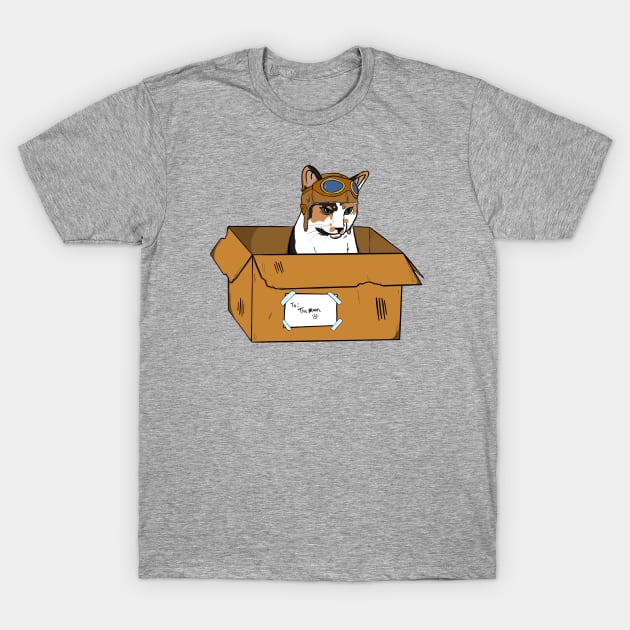 Cookie Dough and the Spaceship S1E2 | Calico Cat, Box, Aviator Hat T-Shirt by Koala and the Bird